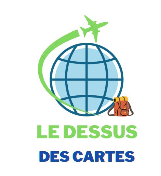 logo dessusdescartes-ddc.com avec un sac à dos au pied de la mappemonde et un avion vert qui survole celle ci
