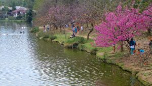 Parc Ibirapuera